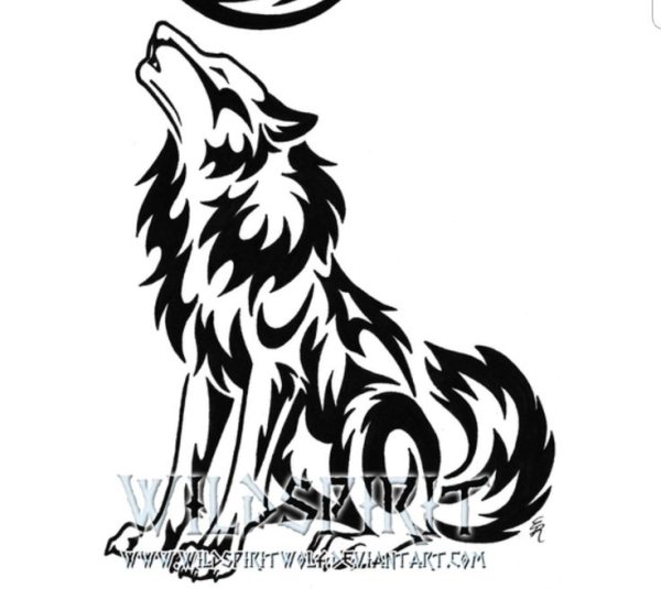 Эскиз волка с полумесяцем