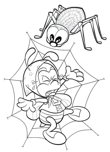 Муха-Цокотуха паук раскраска для детей