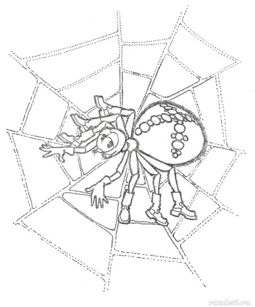 Паук из мухи Цокотухи раскраска