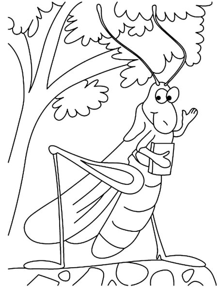 Раскраска Муха-Цокотуха