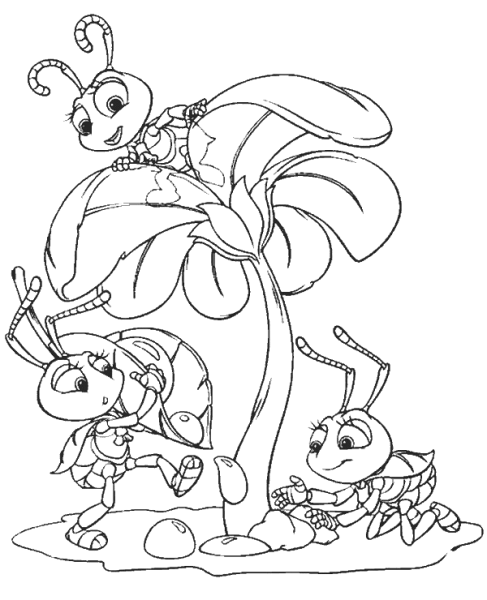 Муха-Цокотуха раскраска для детей