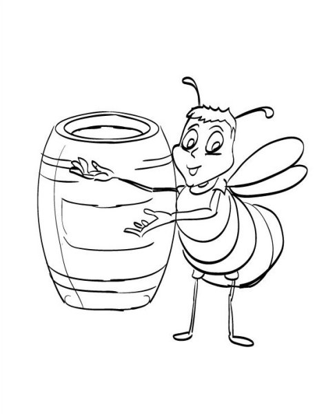 Мед раскраска