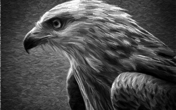 Орел птица