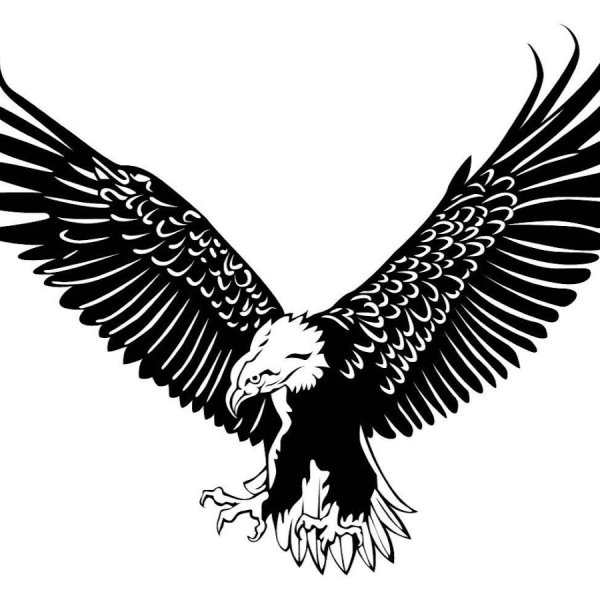 Стилизованное изображение орла