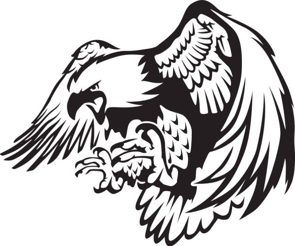 Орел Графика