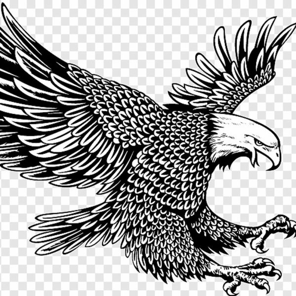 Стилизованные Орлы