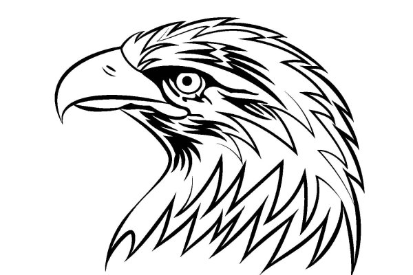 Голова орла сбоку
