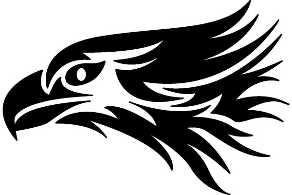 Орел черно белый