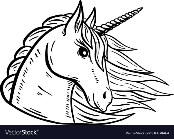 Голова единорога карандашом