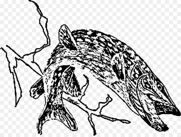 Щука гравюра