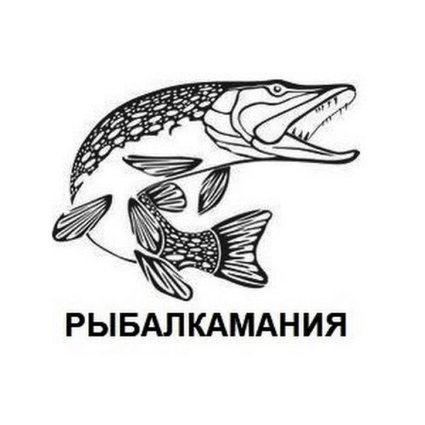 Щука векторный рисунок