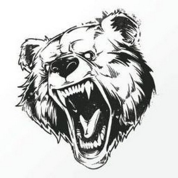 Медведь тату эскиз