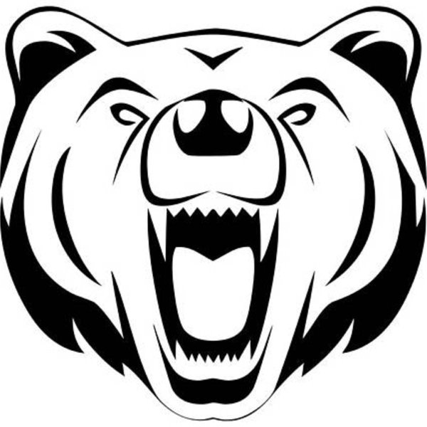 Морда медведя вектор