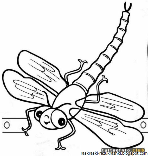 Стрекоза вектор чб