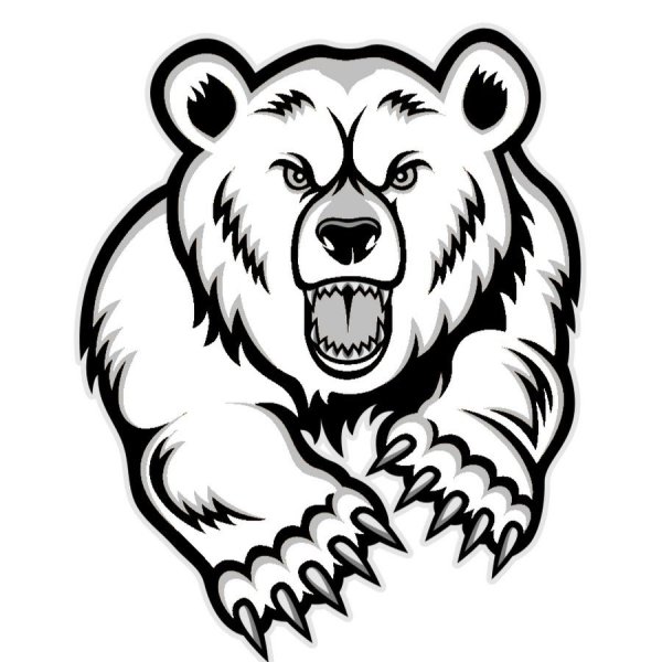 Медведь рисунок