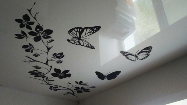 Чёрная бабочка на натяжном потолке