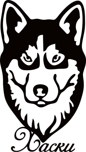 Наклейка хаски на машину