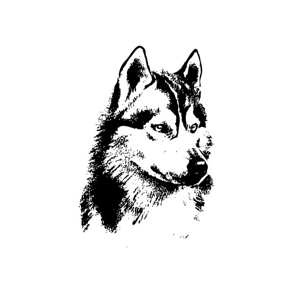 Хаски черно белый рисунок