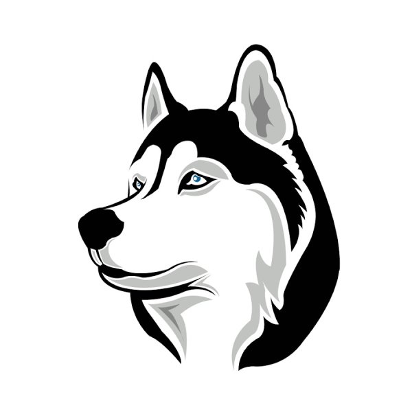 Собака хаски вектор