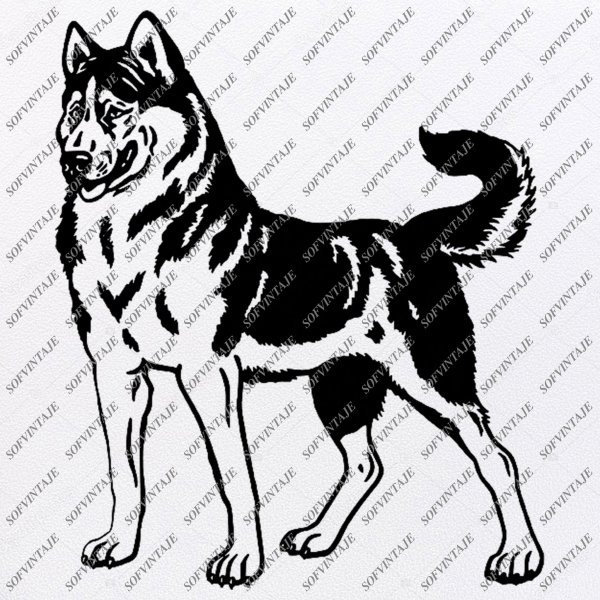 Хаски рисунок для выжигания