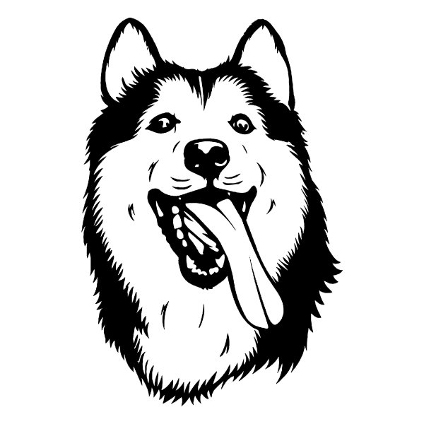 Тату хаски чб