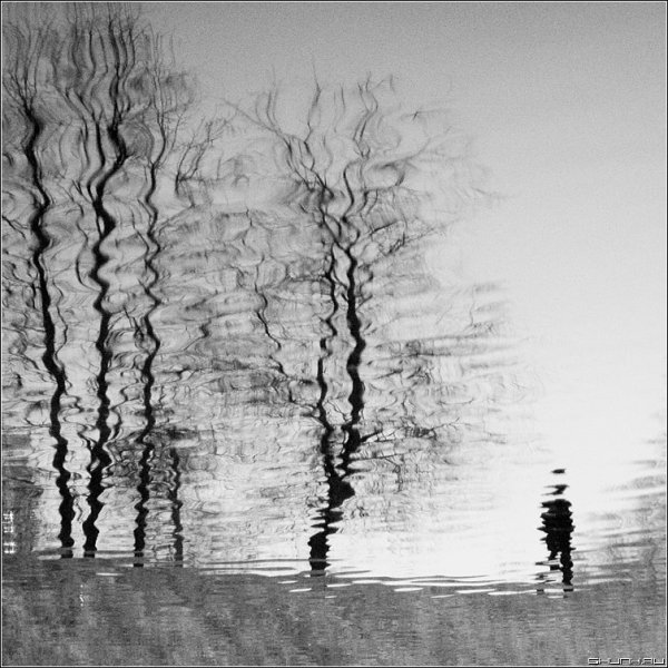 Дождь тушью