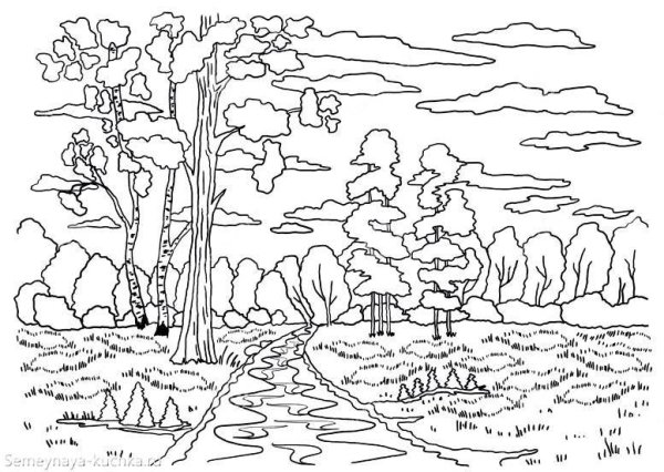 Осенний пейзаж раскрасить
