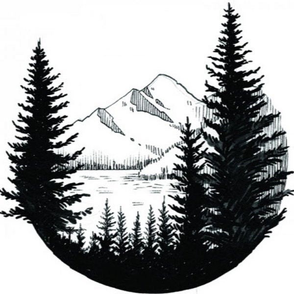 Горы лес Графика