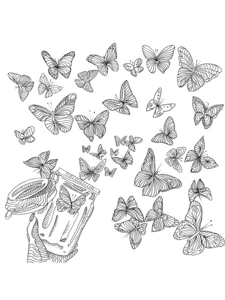 Бабочки раскраска много
