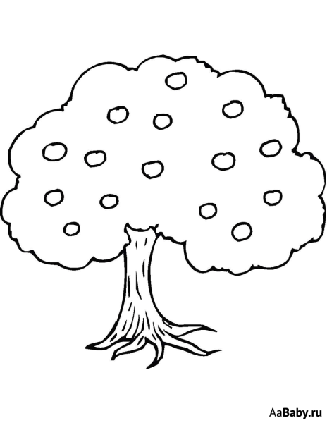 Яблоня раскраска