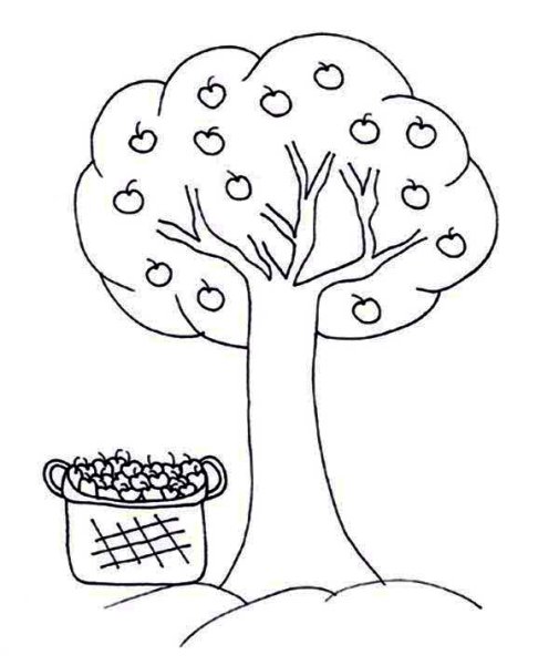 Яблоня раскраска