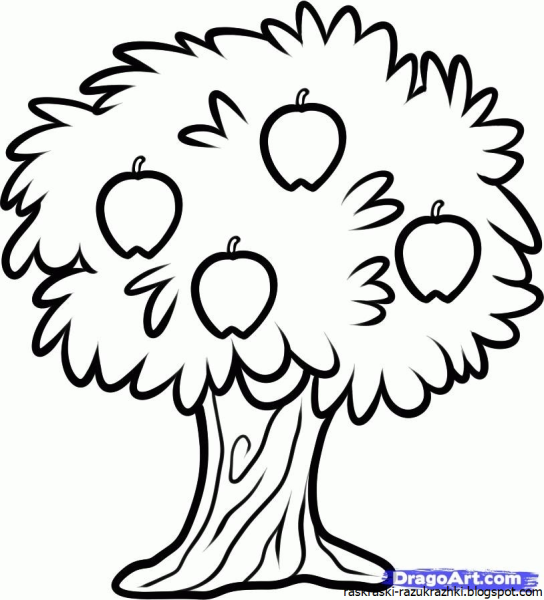 Дерево раскраска для детей