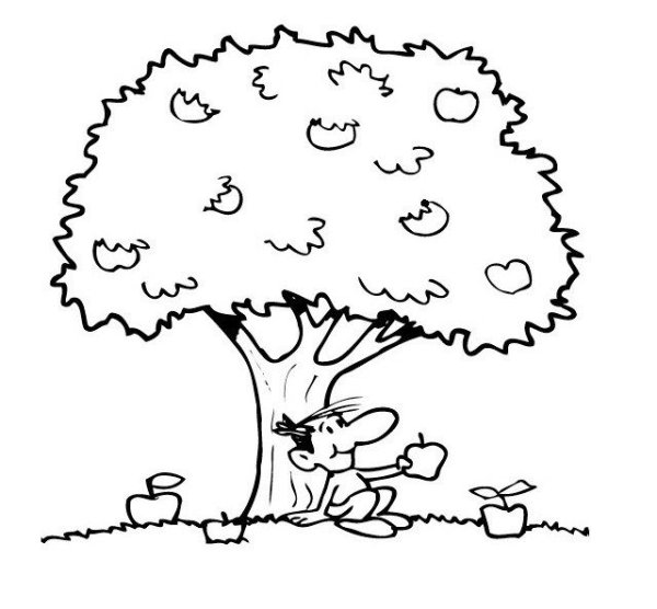 Яблоня раскраска