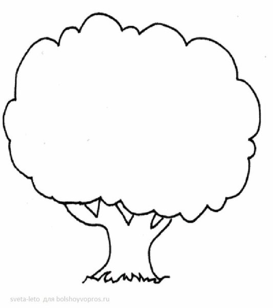 Лимонное дерево раскраска