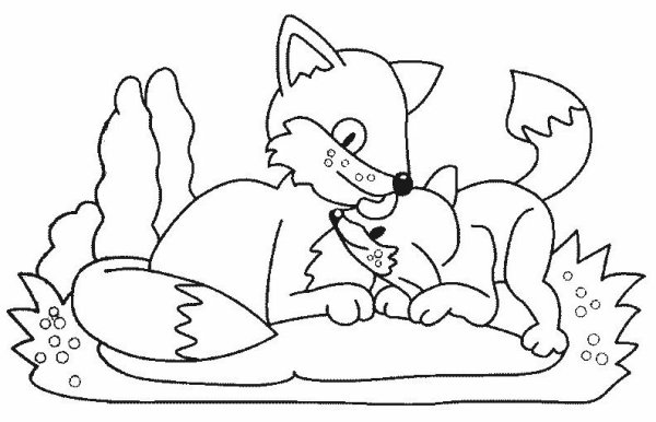 Раскраска лиса с лисятами