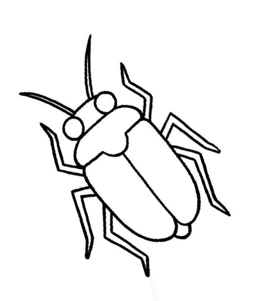 Жук раскраска для детей