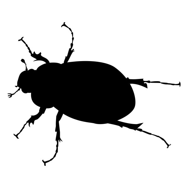 Жук Bug Картун