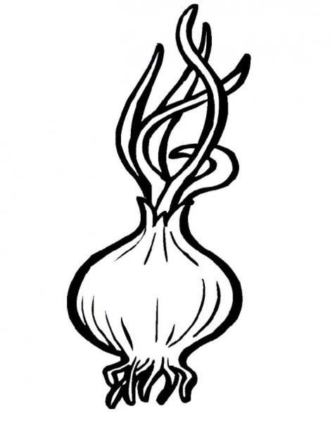 Лук раскраска