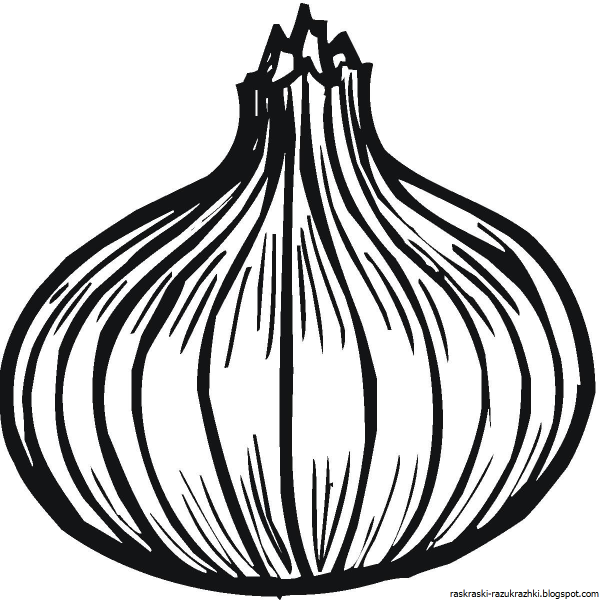 Лук раскраска