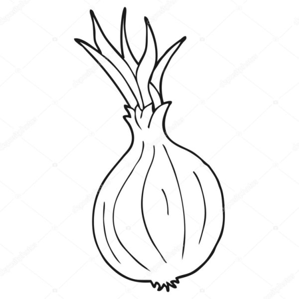 Лук раскраска