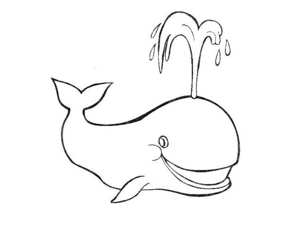 Кит картинка раскраска