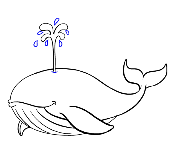 Кит раскраска для детей
