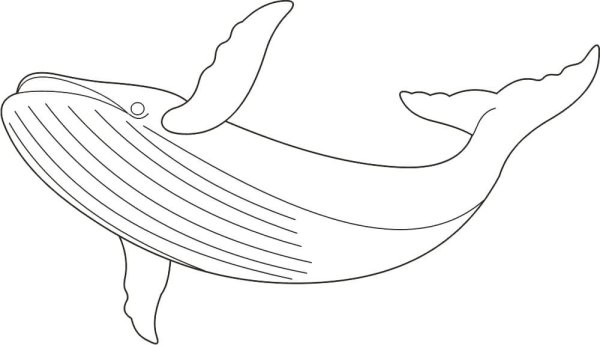 Кит и кот раскраска для детей