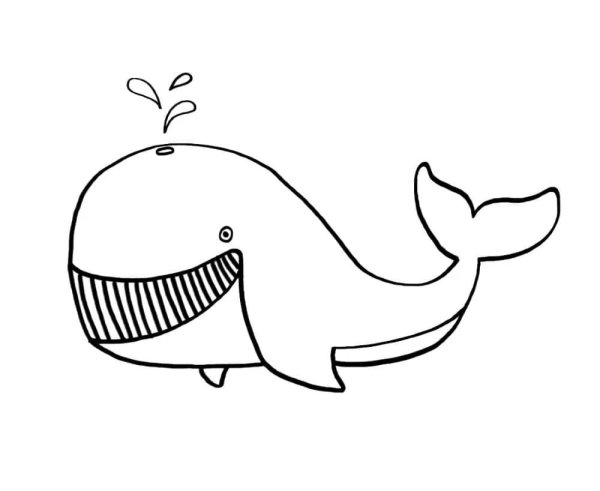 Кит Касатка рисунок