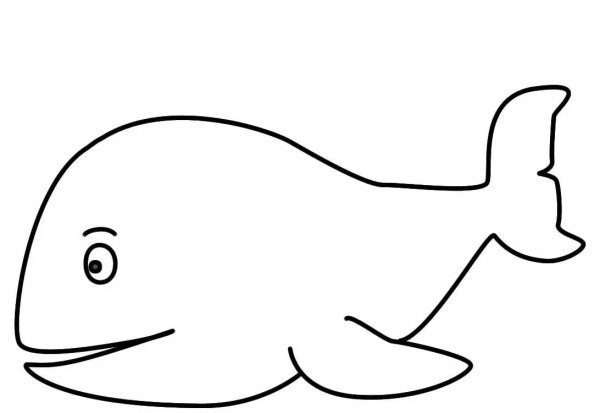 Whale карточка для детей