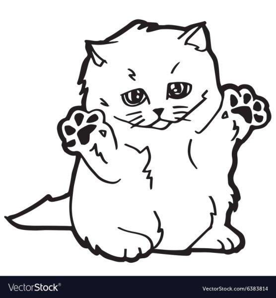 Раскраски для девочек животные котята вислоухие