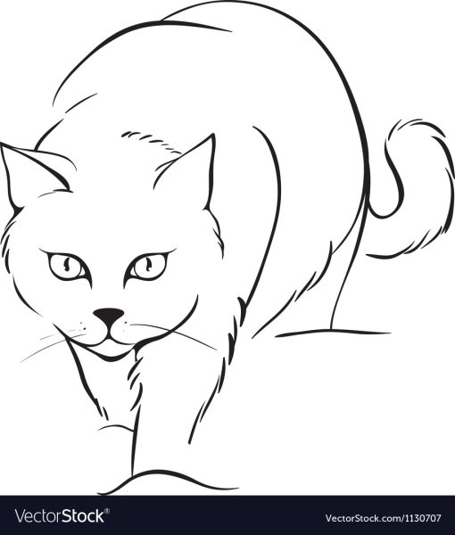Кот крадется рисунок