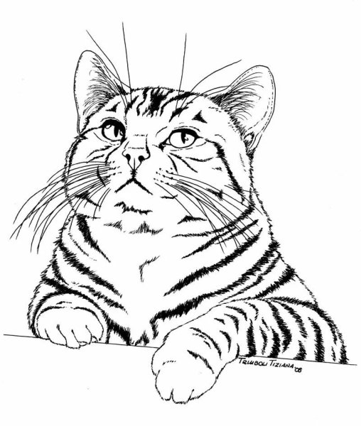 Кошка одной линией контур