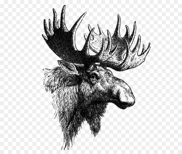 Силуэт головы лося