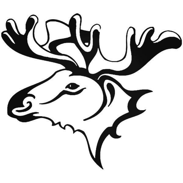 Голова лося для выжигания